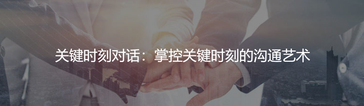 关键时刻对话:掌控关键时刻的沟通艺术