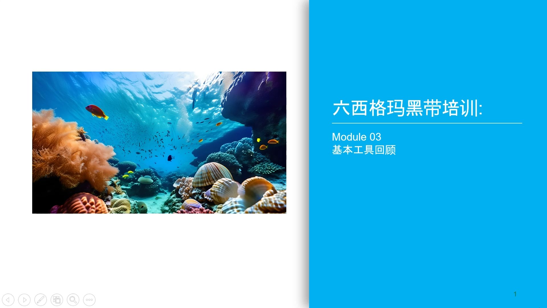 六西格玛黑带培训课程